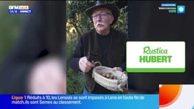 Jardinage & marche nordique - La météo de Colas du mardi 7 octobre 2025
