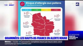 Graminées: les Hauts-de-France en alerte rouge