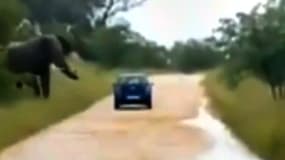 La voiture du couple chargée par un éléphant, filmée par une vidéo amateur, le 30 décembre dernier au parc national Kruger, en Afrique du Sud.