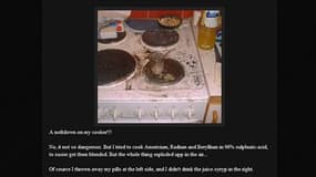 Page du blog de Richard Handl, qui a pris sa cuisinière en photo après avoir tenté d'y faire fonctionner un réacteur nucléaire de fortune. /Image du 4 août 2011/REUTERS/Handout