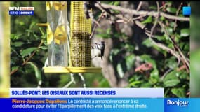 Solliès-Pont : les oiseaux sont aussi recensés