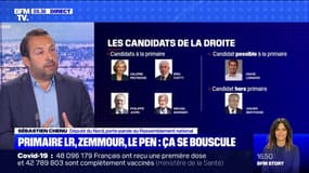 Primaire à droite: Sébastien Chenu (RN) pense "qu'aucun d'entre eux ne peut être président de la république"