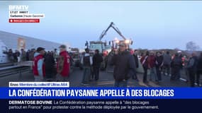 Dermatose bovine: les agriculteurs commencent à bloquer l'A64 à côté de Carbonne, en Haute-Garonne