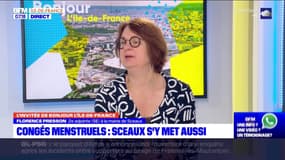 "Autorisation spéciale d'absence": la mairie de Sceaux met en place un congé menstruel pour ses employées