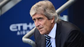Manuel Pellegrini