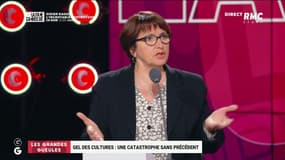 Christiane Lambert, présidente de la FNSEA, tacle Yannick Jadot et les écolos !