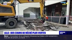 Lille: des cours de récréation plus vertes