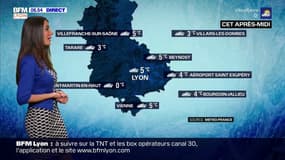 Météo à Lyon: un ciel de plus en plus couvert après quelques éclaircies, entre 0°C et 5°C cet après-midi