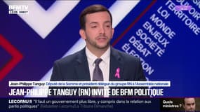 "On ne se réjouit pas que monsieur Macron choisisse les ruines", déclare Jean-Philippe Tanguy (RN)