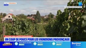 Accord Inde-Union Européenne. Un coup de pouce pour les vignerons provençaux
