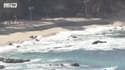 JO 2018 : à la découverte du littoral coréen