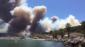 Feu de forêt à Saint-Mandrier-sur-Mer - Témoins BFMTV