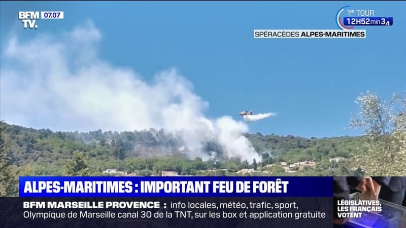 Les images de l'important feu de forêt qui a ravagé une dizaine d'hectares dans l'arrière pays de Grasse