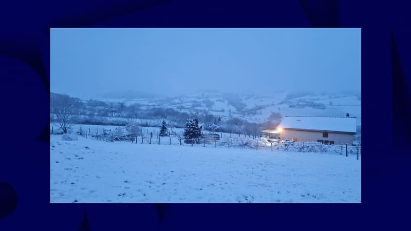 Rhône: les Monts du Lyonnais recouverts de neige ce mercredi matin
