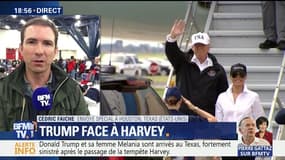 Trump face à Harvey: quel est le programme du président américain ?