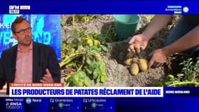 Sécheresse: les producteurs de pommes de terre estiment les pertes à plus d'un million de tonnes