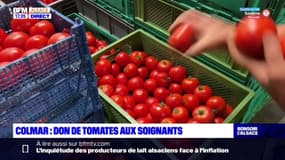Haut-Rhin: des maraîchers offrent des tomates aux soignants 