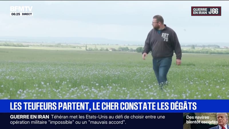 Les voisins et agriculteurs mécontents après la grande free party à proximité de Cornusse (Cher)