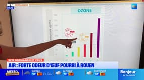 BFM Normandie et vous: une forte odeur désagréable à Rouen
