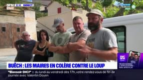 Hautes-Alpes: les élus se mobilisent contre les attaques de loups