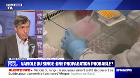 Variole du singe : le plus haut niveau d'alerte - 15/08