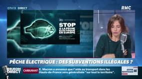 Dupin Quotidien : Pêche électrique, des subventions illégales - 07/11