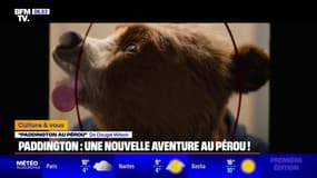 "Paddington au Pérou": nouvel opus au cinéma ce mercredi pour l'ours anglais