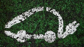 Environ 90.000 personnes ont demandé à bénéficier d'une voiture électrique à prix réduit dans le cadre du "leasing social"