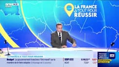 La France a tout pour réussir - Vendredi 16 janvier 