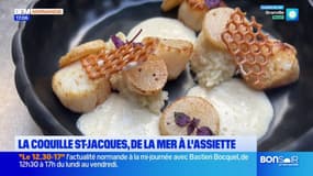 Le Havre: avec l'ouverture de la saison, les restaurateurs peuvent cuisiner et servir des coquilles Saint-Jacques