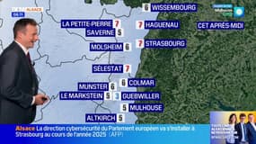 BFM Alsace: une journée globalement ensoleillée avec jusqu'à 7°C à Strasbourg