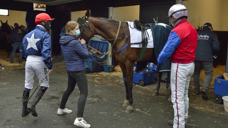 Flamme du Goutier brille à Vincennes dans le Prix de Cornulier
