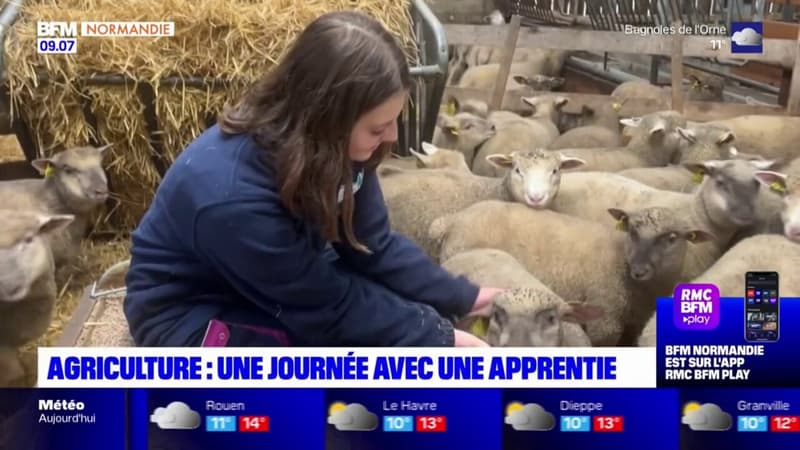 Seine-Maritime: Emma, apprentie agricultrice à Yvetot, déterminée malgré la crise des agriculteurs