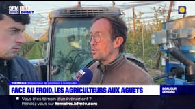 Nord: face au gel, les agriculteurs prennent les devants