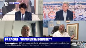 Pr Raoult : "un virus saisonnier" ? - 22/04