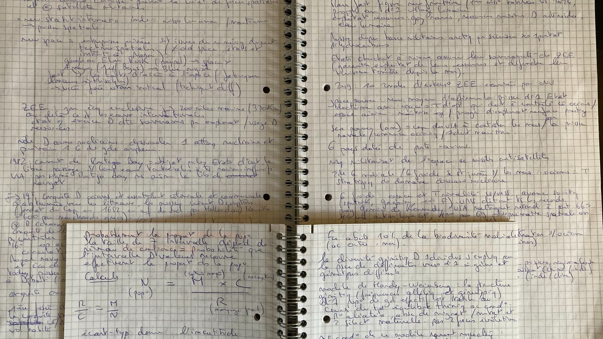 Mes cahiers d'enseignement scientifique et de l'une de mes deux spécialités (histoire-géographie, géopolitique et sciences politiques) Mes cahiers d'enseignement scientifique et de l'une de mes deux spécialités (histoire-géographie, géopolitique et sciences politiques)