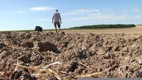 La sécheresse inquiète les agriculteurs