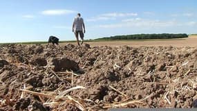 La sécheresse inquiète les agriculteurs