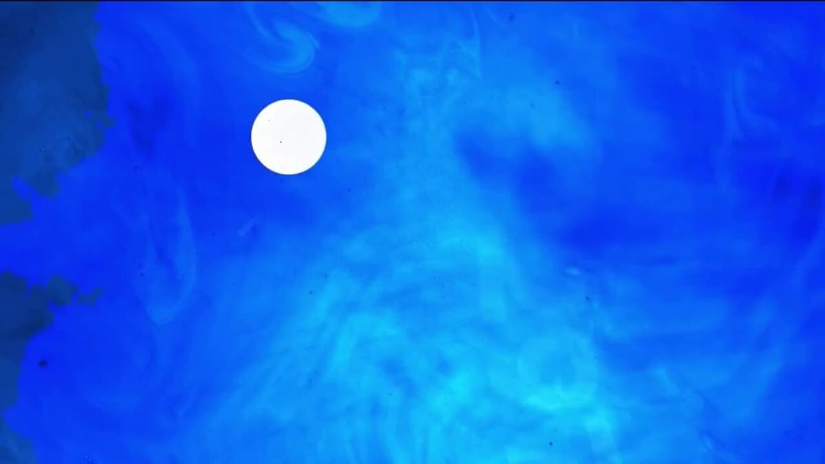 placeholder video