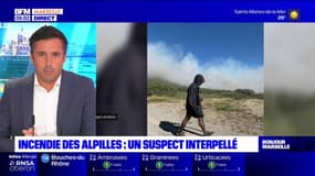 Incendie des Alpilles: un suspect interpellé