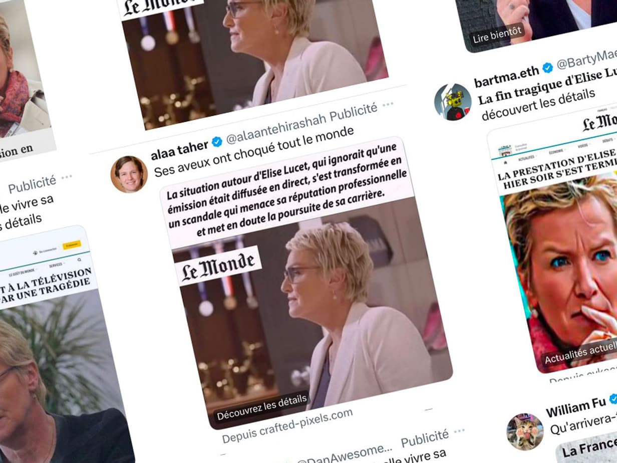Twitter: Elise Lucet dénonce les nombreuses publicités frauduleuses  utilisant son image