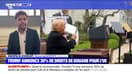 Donald Trump annonce 30% de droits de douane pour l'UE