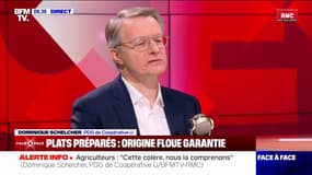 Accord avec le Mercosur: "En l'état, il ne faut pas le signer", assure Dominique Schelcher