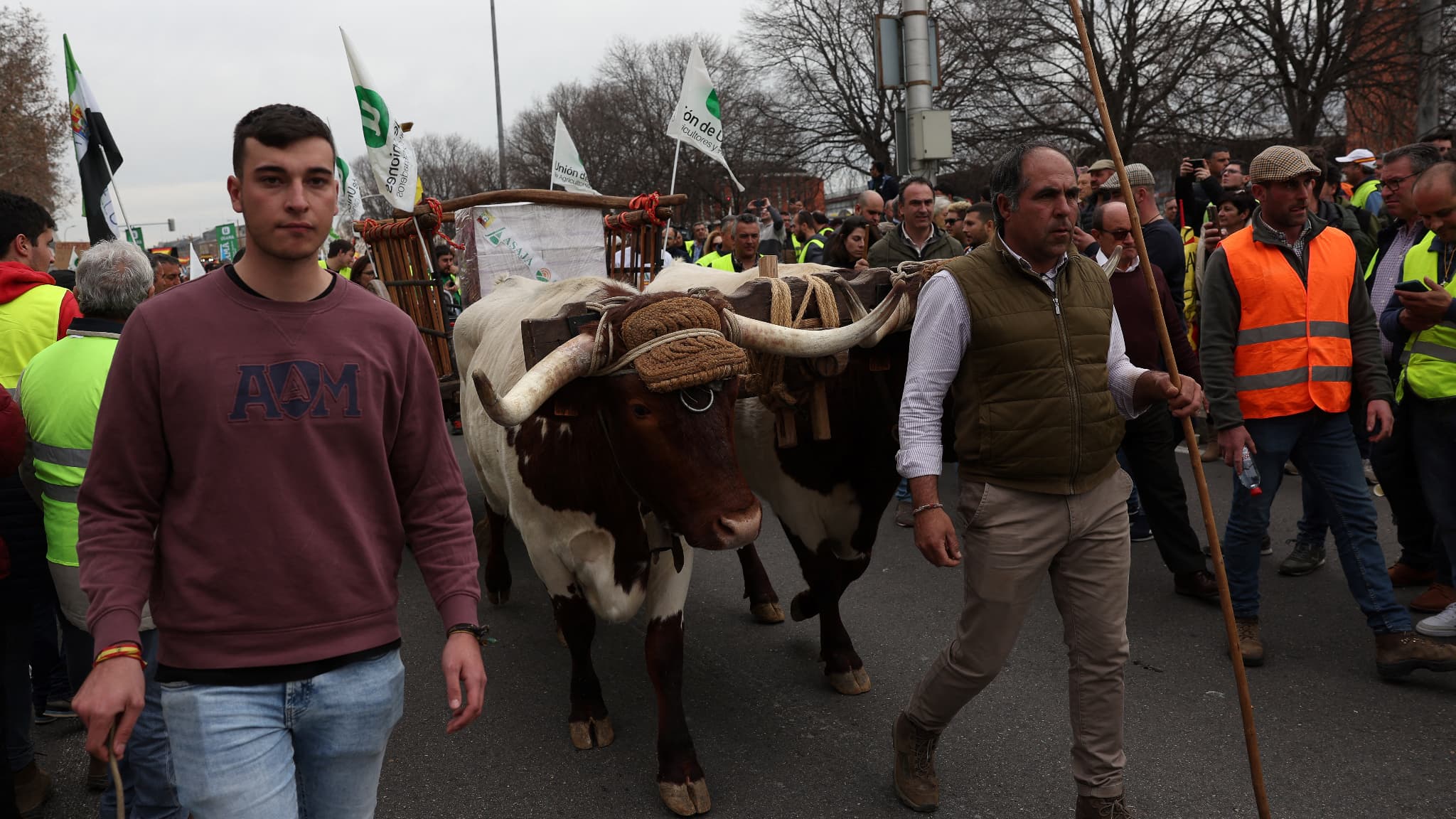 Des agriculteurs manifestent à Madrid, le 21 février 2024 Des agriculteurs manifestent à Madrid, le 21 février 2024
