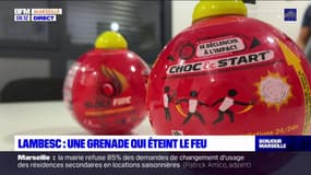 Lambesc: une grenade qui éteint le feu utilisée par la police municipale