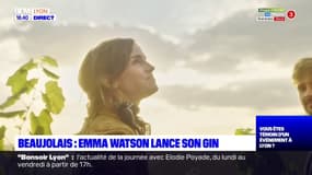Une distillerie du Beaujolais fabrique le Gin d'Emma Watson