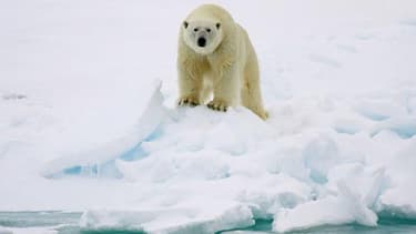 Classée parmi les dix années les plus chaudes, 2012 a atteint un record en terme de fonte des glaces dans l'Arctique.