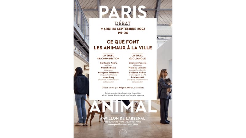 Ce que font les animaux à la ville
