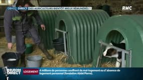 Loi Alimentation: quelles conséquences sur le revenu des agriculteurs?