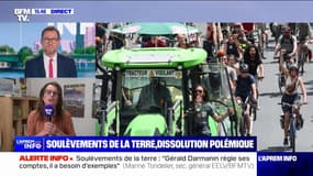 Marine Tondelier (EELV) sur la dissolution des Soulèvements de la Terre: "On a toujours travaillé ensemble, on travaillera toujours ensemble"